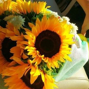 Meet your Posher, Kmnjj